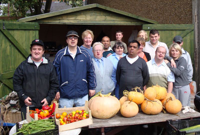 pumkin harvest